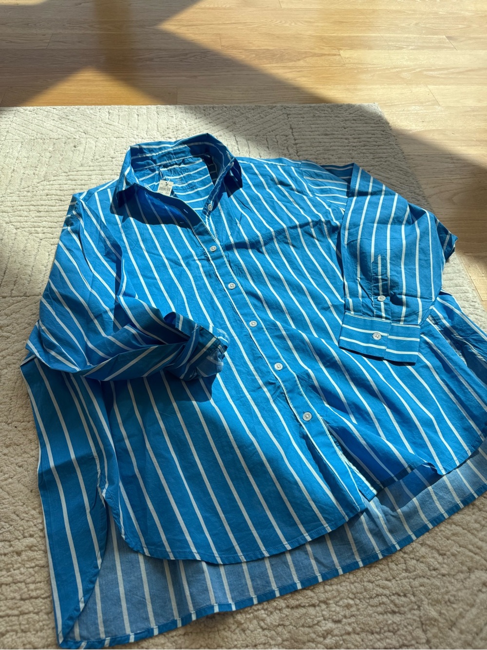 aerie Blue and White Striped Button-Down Shirt